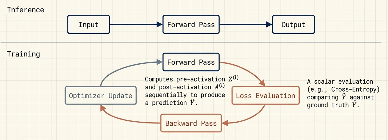 Life Cycle of a Model