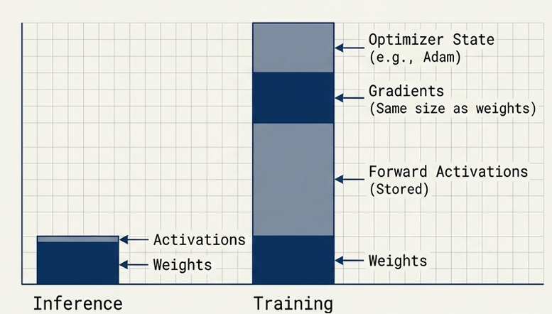 GPU memory usage in inference vs. training