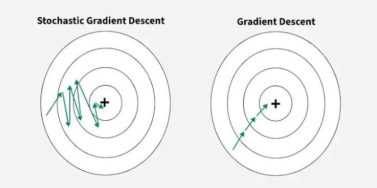 Stochastic Gradient Descent estimate