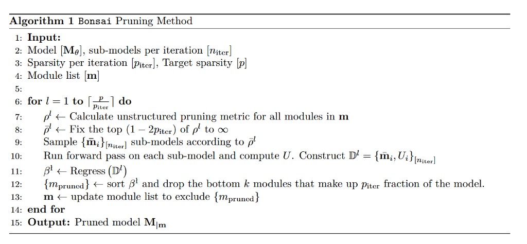 Algorithm 1: Bonsai Pruning Method